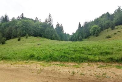 Teren 2.763 mp Poiana Brașov – lângă Stâna Turistică Sergiana - 4