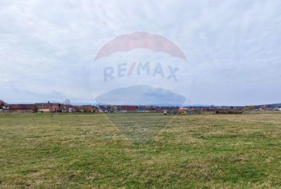 Teren agricol extravilan de 4900 mp, în Șura Mică - 3