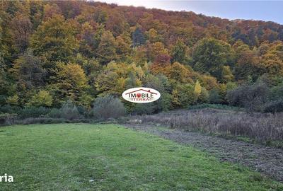 Teren de 310 mp, în Central - 1