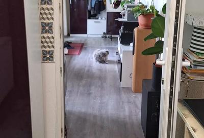 Vand casa in ora? Buzia? - 4