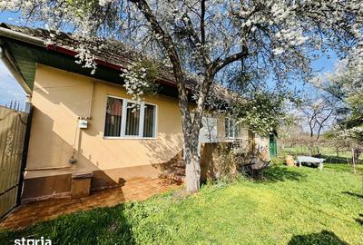 Casă cu 2 camere cu Teren 1702 Mp în Șercaia - 19