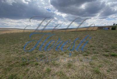 Spațiu comercial, în Rediu - 2