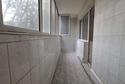 Ciresica - ap 3 cam , parter (gaze la usa ) - 17