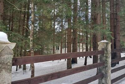 Casă cu Teren 2000 Mp în Dealu Negru - 8