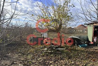 Casă cu 2 camere cu Teren 1200 Mp în Peciu Nou - 9