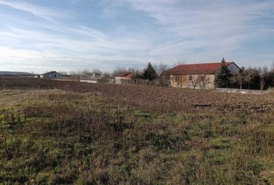 Teren intravilan de 16600 mp, în Bucovăț (Remetea Mare) - 5