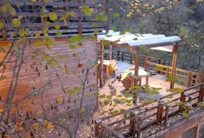 Brasov - zona Schei, pensiune boutique de inchiriat. Brasov - zona Schei, pensiune boutique de inchiriat. - 10