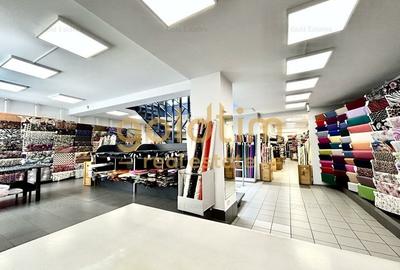 Casă individuală cu 13 camere cu Canalizare în Pache Protopopescu - 9