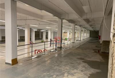 Depozit/hala/spatiu industrial Politehnica - Apaca - 2