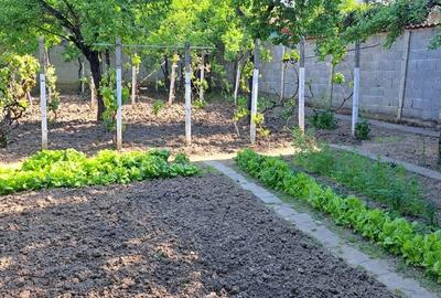 Casă cu 3 camere cu Teren 500 Mp în Rogerius - 7