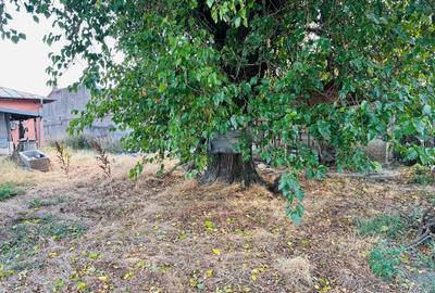 Teren Construcții intravilan de 938 mp, în Chiajna - 8