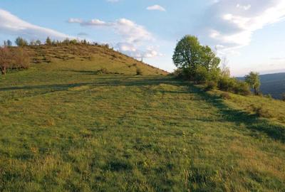 Spațiu comercial, în Cireșu - 3