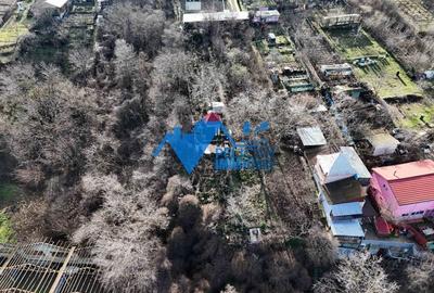 Teren intravilan BIDIDIA, zona deosebita, 550MP - 11