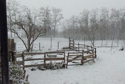 Casă cu 3 camere cu Teren 3400 Mp în Moara Jorii