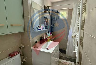 Apartament cu 3 camere semidecomandat, mobilat în Brazda lui Novac - 6
