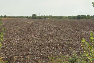 Teren 7400 mp Corbii Mari, La 5 minute de A1, Intra + Extra Proprietar - 4