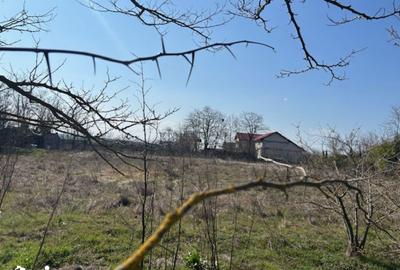 Teren de 1000 mp, în Corbu - 14