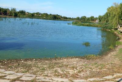 Casa si teren de vnzare in Comuna Salciile Casa si teren de vnzare in Comuna Salciile - 6
