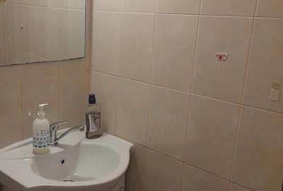 Apartament cu 4 camere decomandat în Trivale - 4