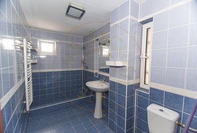Apartament cu 3 camere semidecomandat în Ultracentral - 8