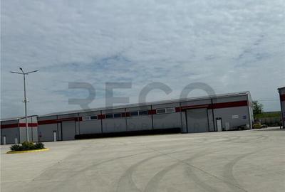 RECO Hala industriala zona de vest - 11