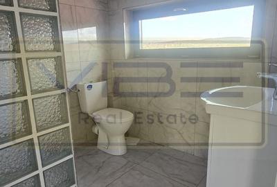 Birou, de 240 mp, în Lunca Cetățuii - 14