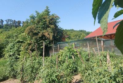 Casă cu 5 camere în Blaj