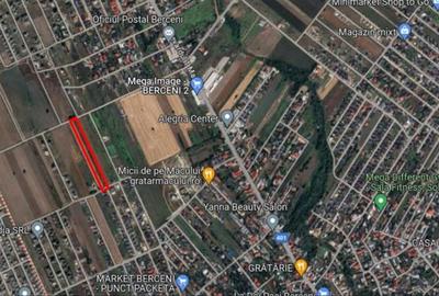 Teren Construcții intravilan de 4763 mp, în Berceni - 6