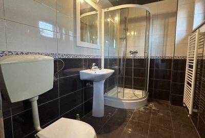 Casă individuală cu 10 camere cu Piscina în Dumbrăvița - 32