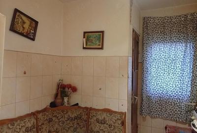 Apartament cu 3 camere decomandat în Aradul Nou - 1