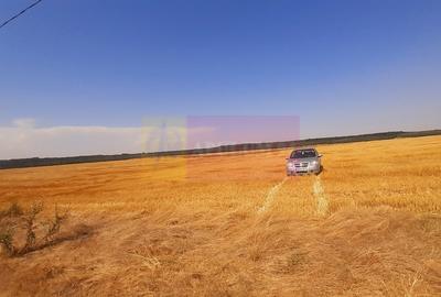 Teren pentru casa/case in Branesti pe strada Toporasi - 7