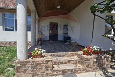 Casa de Vis la Macea - Complet Renovata si Gata de Locuit! - 16