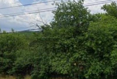 Teren intravilan Furesti, jud. Arges - ID R1965298 - 8