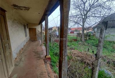 Casă cu Teren 1798 Mp în Iecea Mare - 14