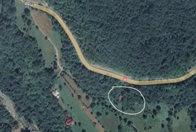 Cabana Lep?a, jud. Vrancea - Cheile Ti?i?ei - 14