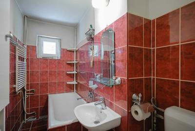 Apartament cu 3 camere semidecomandat, mobilat în Nufărul - 3