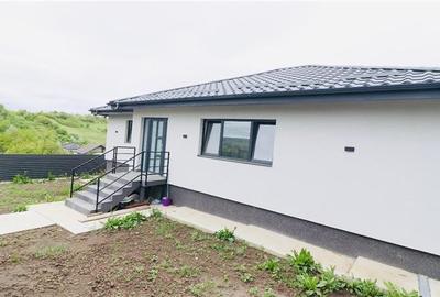 Casa plan parter, 4 camere, intabulata, Valea Lupului - 2