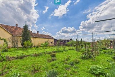 Teren 1300 mp, Beregsău Mare - 1