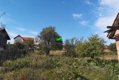 Casa individuala de vanzare 2 camere Sibiu Sura Mare - 3