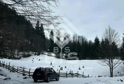 Teren de 6000 mp, în Sud - 5