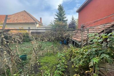 Casa individuala Andrei Muresanu Casa individuala Andrei Muresanu - 3