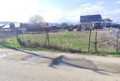 Casă cu Teren 1335 Mp în Săvinești - 2