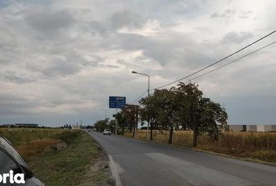 Teren de 30000 mp, în Ghiroda - 3