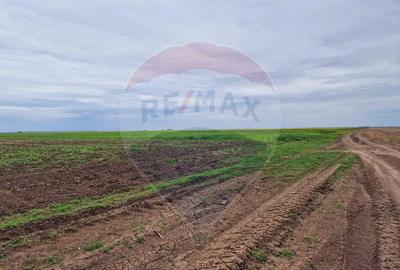 Teren 56,700mp Mischii / Strada Eroilor - 2