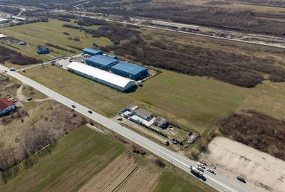 Teren agricol extravilan de 7194 mp, în Păltiniș - 6