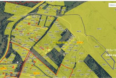 Teren agricol extravilan de 3000 mp, în Beliș - 2