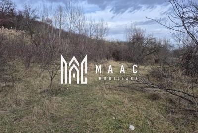 Teren de vanzare | Orlat | Extravilan - 5