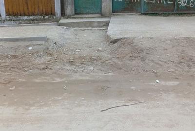 Casă cu 5 camere cu Teren 669 Mp în Pătulele - 1