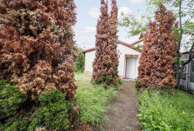 Teren Construcții intravilan de 900 mp, în Grădiștea - 1