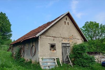 Casa cu teren si padure la tara - 9